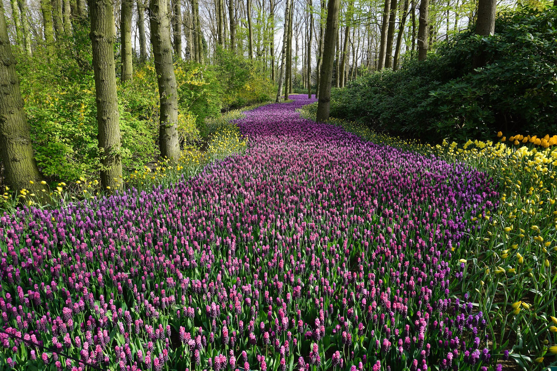 Jesus turns deserts into gardens