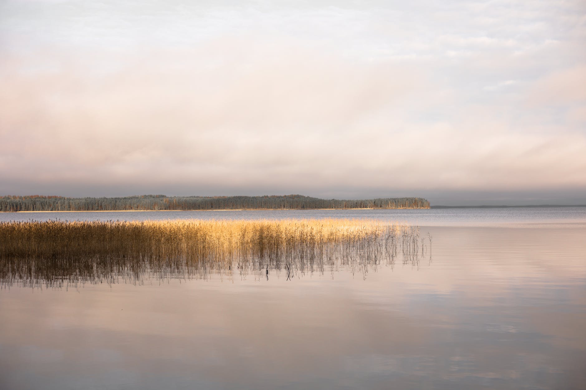 The Still Waters