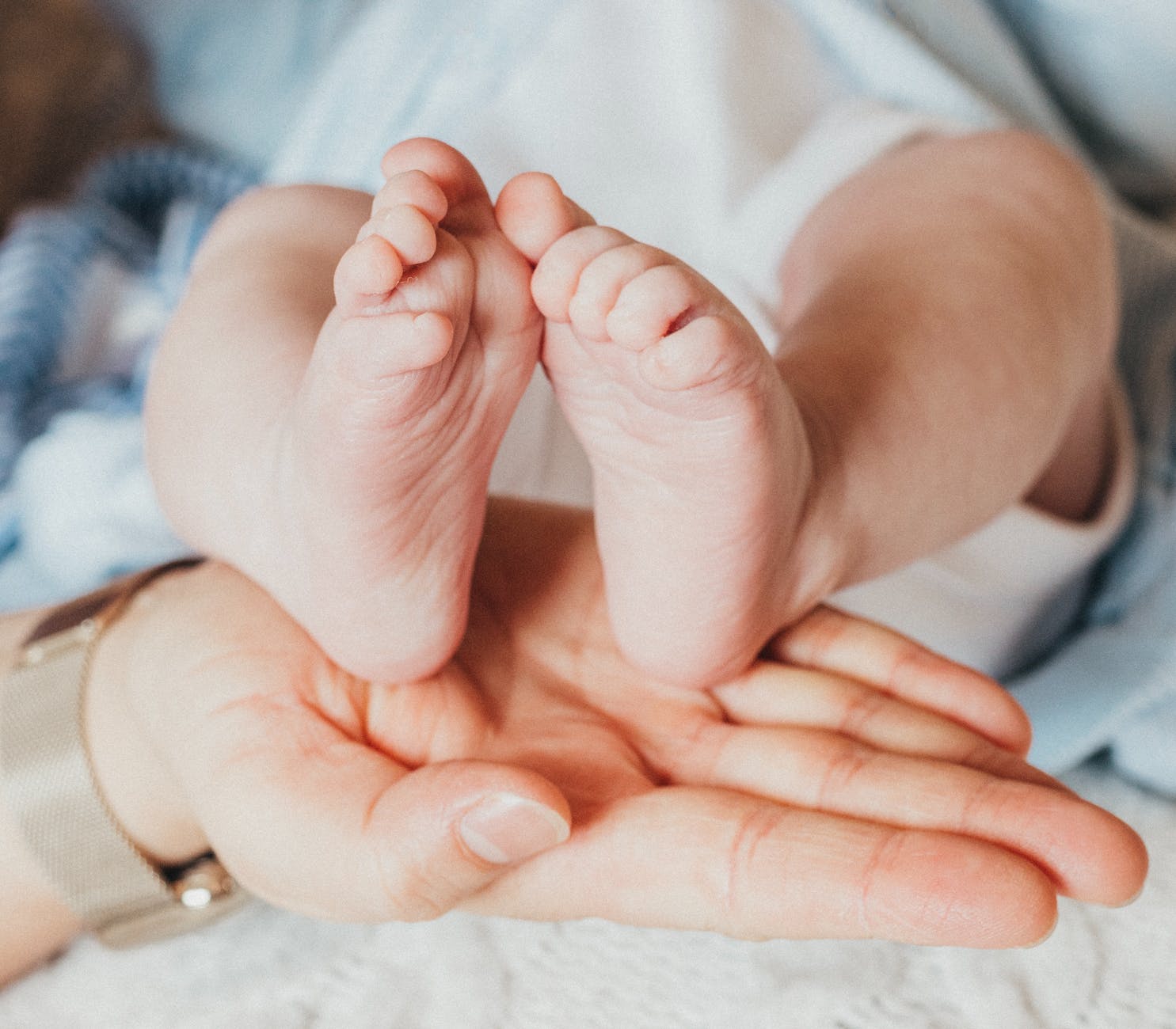 baby feet on woman hands