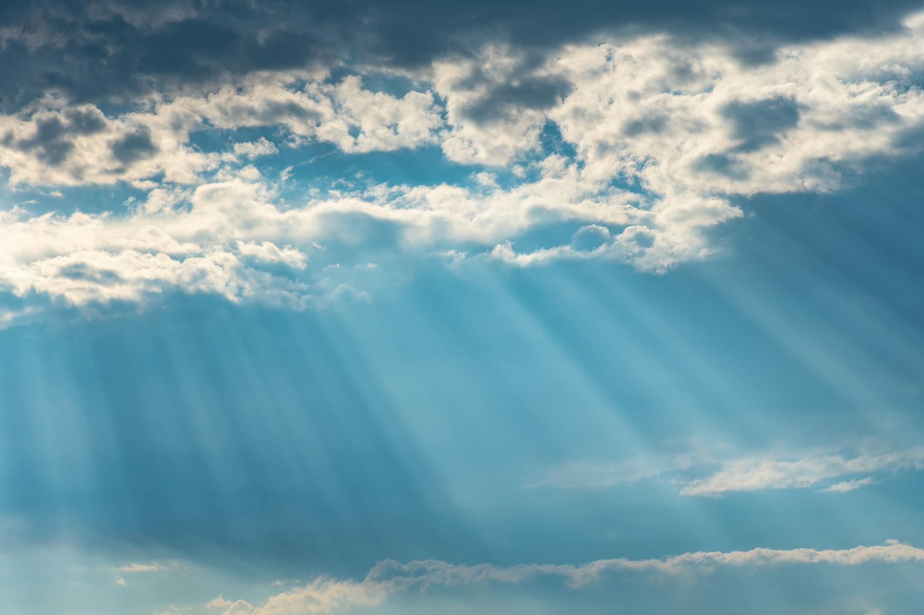 Let heaven and earth praise the Lord!