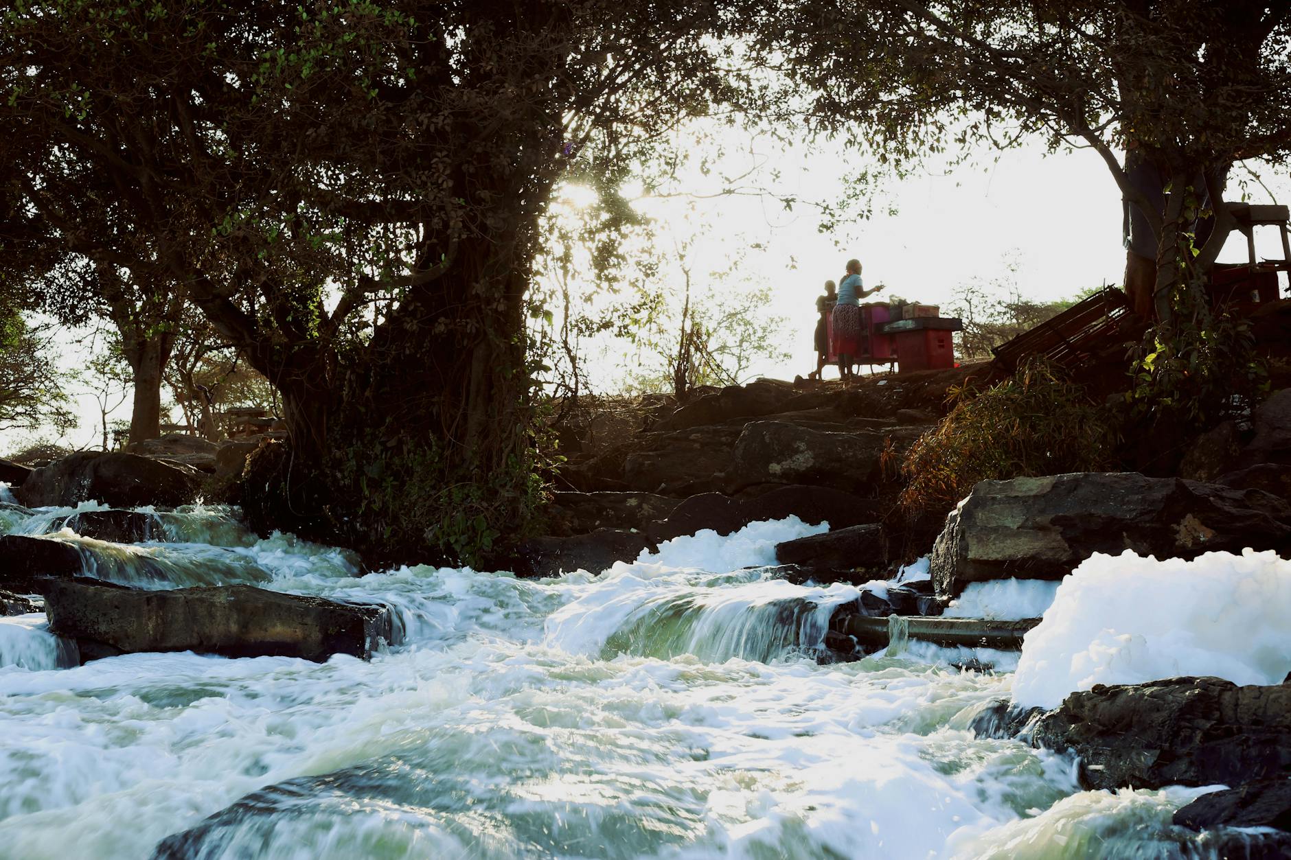 person standing near body of water and trees