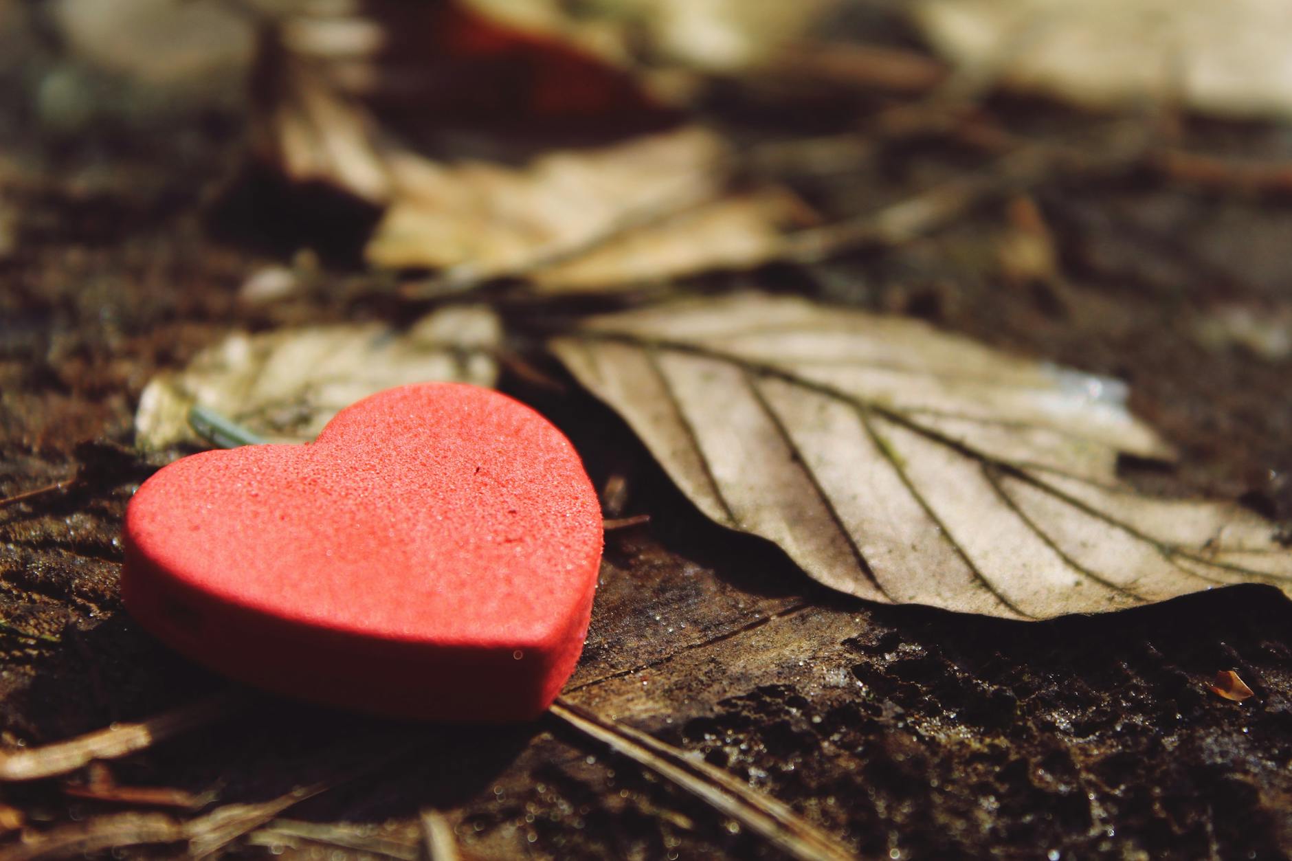 God is searching for an obedient heart