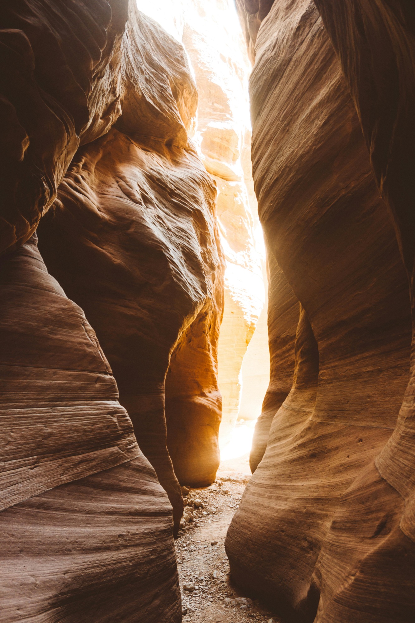 &nbsp;Choose the narrow path