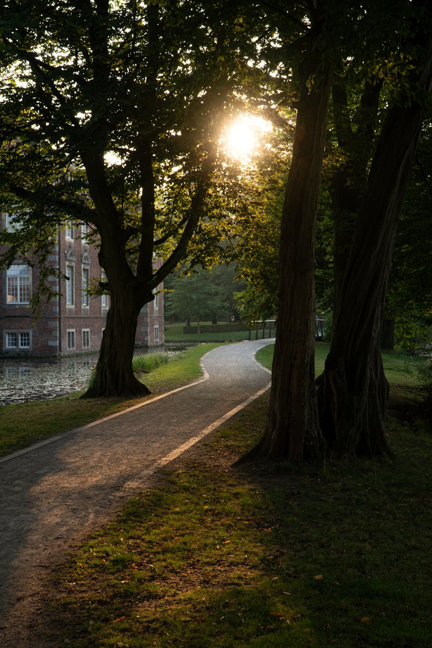 peaceful pathway in velen germany at sunrise