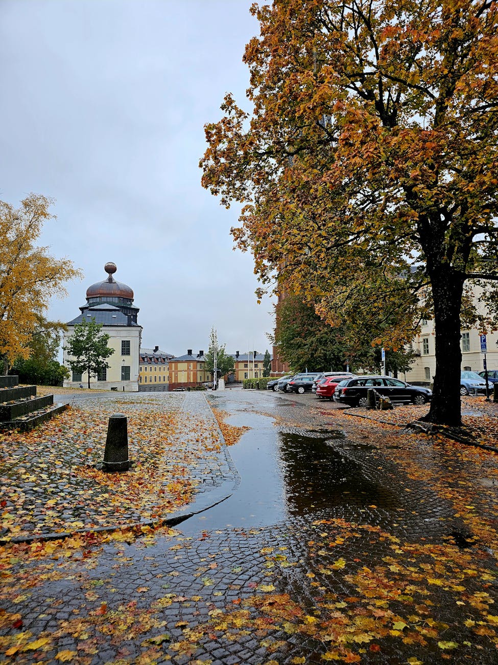 historic uppsala street in autumn rain