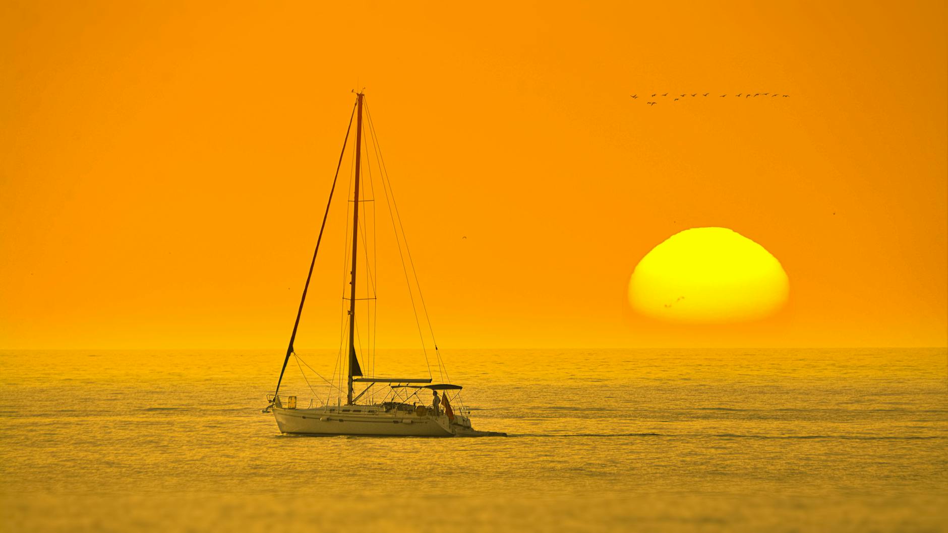 white boat in the middle of the sea during sunset