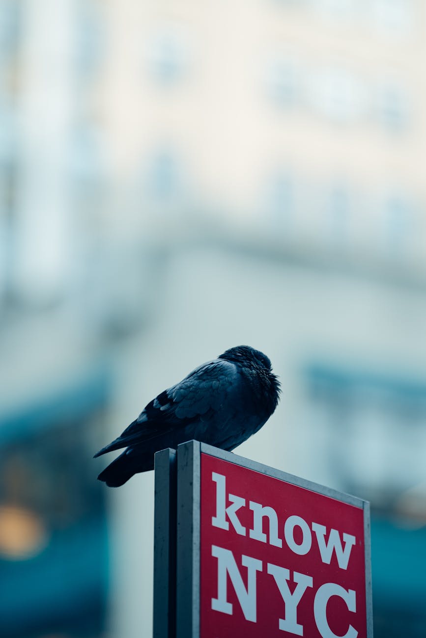 Getting to know God’s ways!