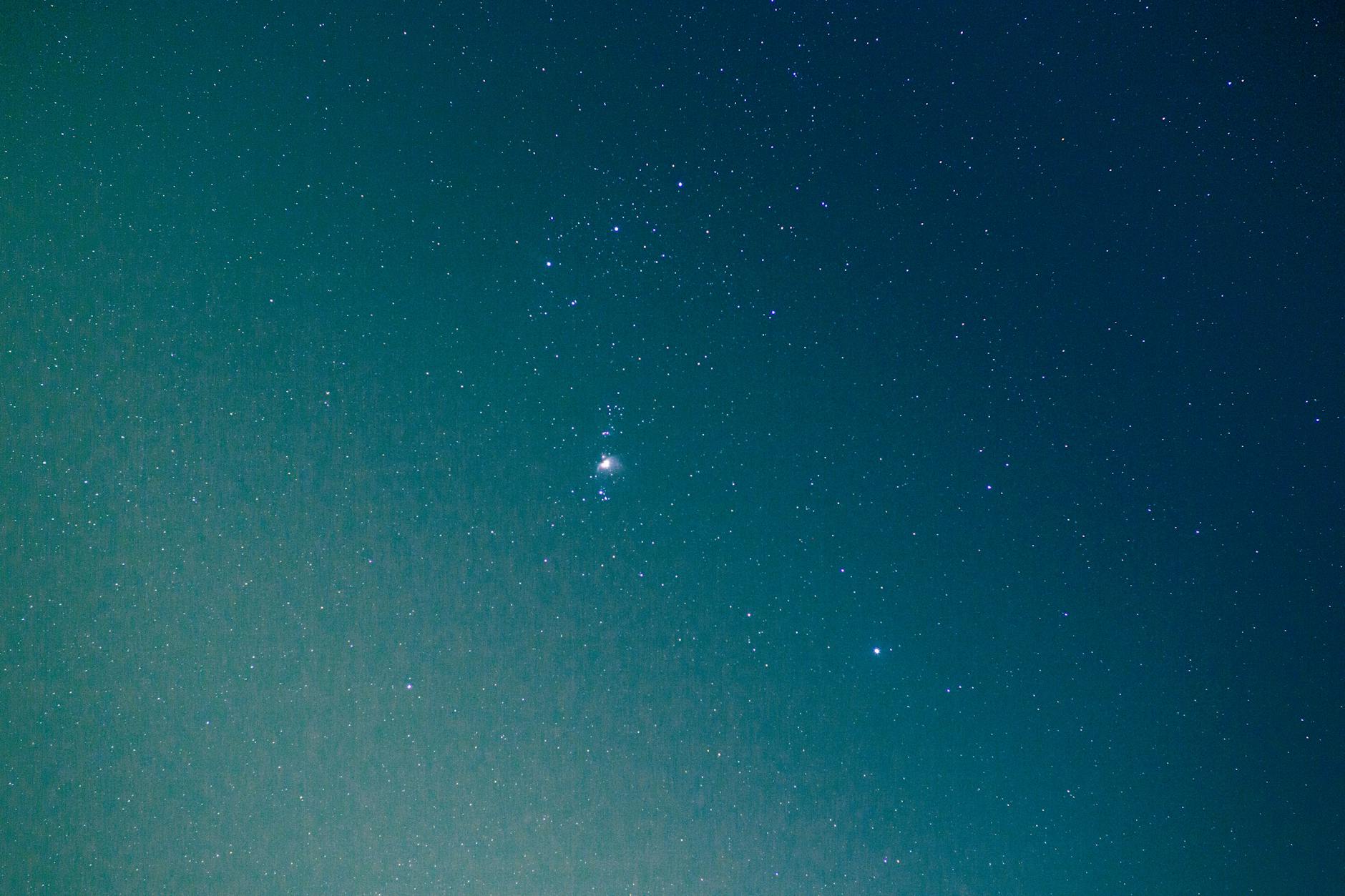 a woman holding a trophy
