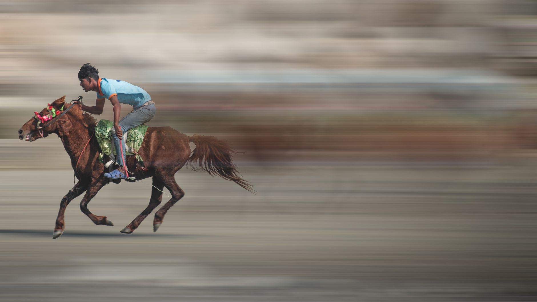 dynamic horse racing in chittagong bangladesh