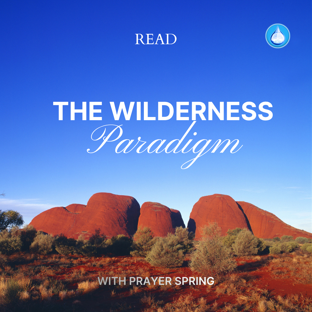 The Wilderness Paradigm