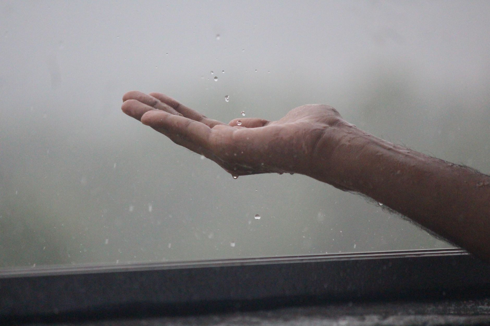 close up shot of a person catching raindrops